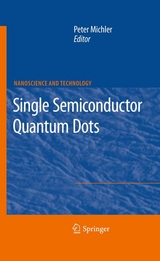 Single Semiconductor Quantum Dots - 