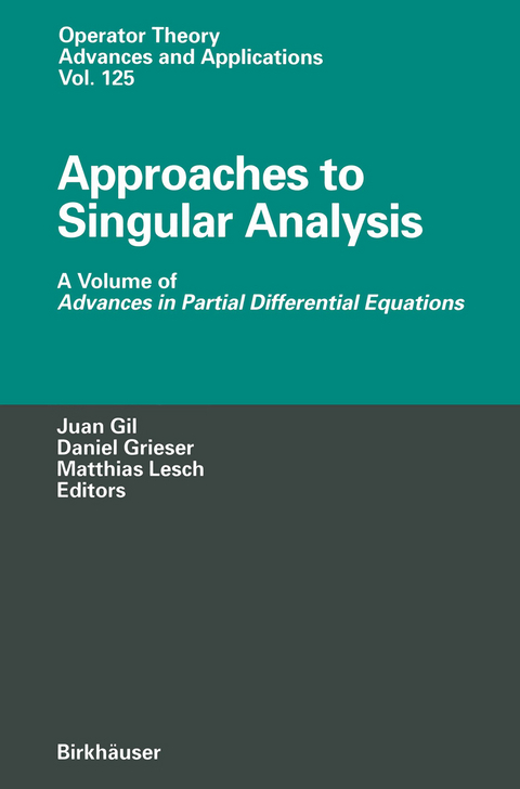 Approaches to Singular Analysis - 