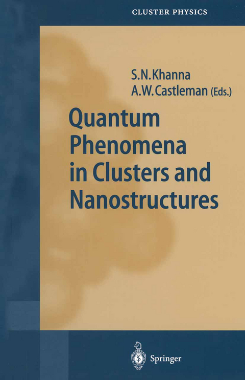 Quantum Phenomena in Clusters and Nanostructures - 