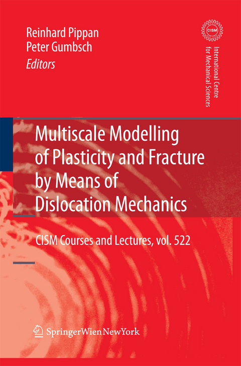 Multiscale Modelling of Plasticity and Fracture by Means of Dislocation Mechanics - 