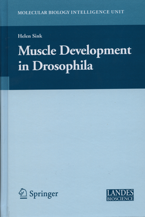 Muscle Development in Drosophilia - HELEN SINK