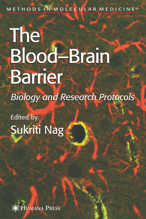Blood'Brain Barrier - 