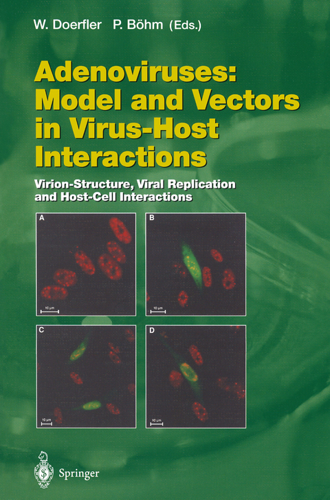 Adenoviruses: Model and Vectors in Virus-Host Interactions - 