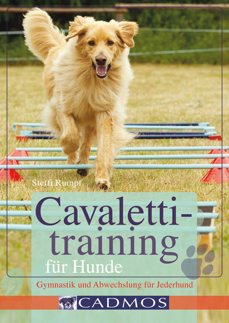 Cavalettitraining für Hunde - Steffi Rumpf