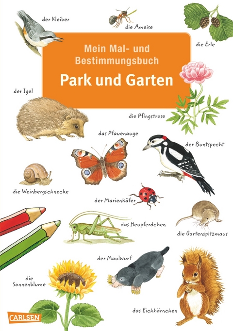 Mein Mal- und Bestimmungsbuch - Park und Garten - Imke Rudel