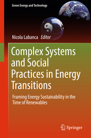 Complex Systems and Social Practices in Energy Transitions - Nicola Labanca