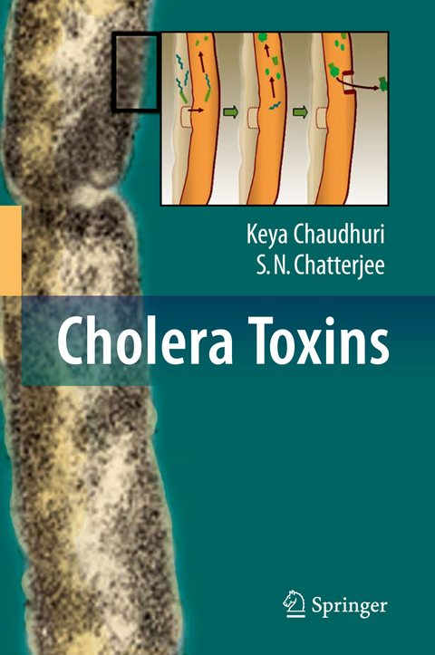 Cholera Toxins - Keya Chaudhuri, S. N. Chatterjee
