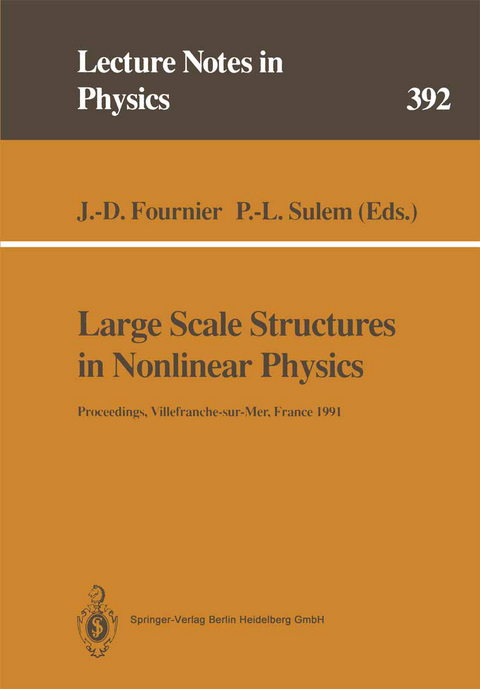 Large Scale Structures in Nonlinear Physics - 