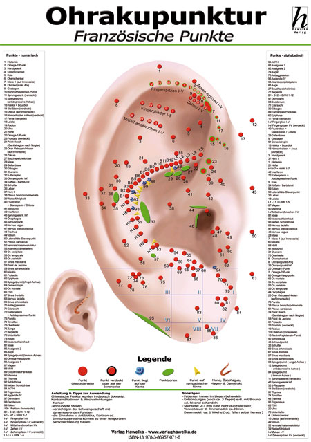 Ohrakupunktur Mini-Poster - französische Punkte DIN A4 - 