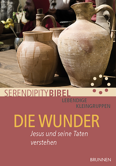 Die Wunder -  Serendipity bibel