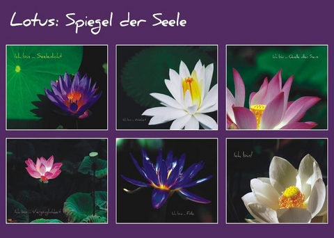 Lotus - Spiegel der Seele - Helga Hendricks, Jürgen Lehmacher