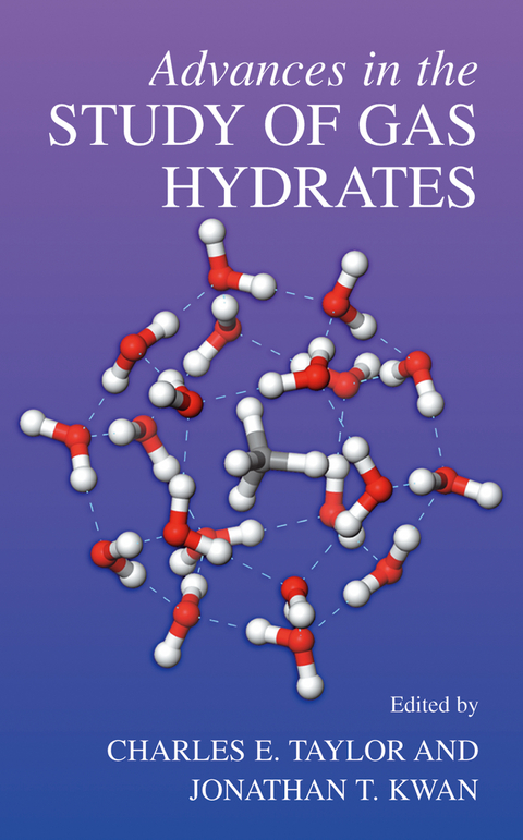 Advances in the Study of Gas Hydrates - 