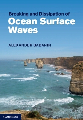 Breaking and Dissipation of Ocean Surface Waves - Alexander Babanin