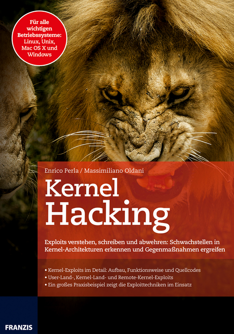 Kernel Hacking - Enrico Perla, Massimiliano Oldani
