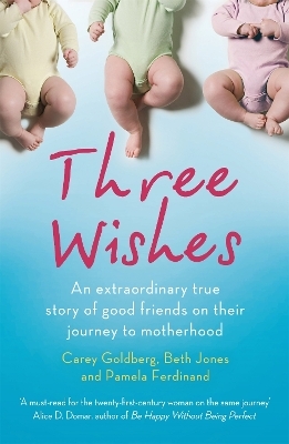 Three Wishes - Carey Goldberg, Ms Beth Jones, Pamela Ferdinand