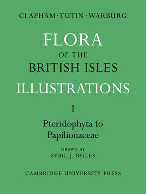 Flora of the British Isles - A. R. Clapham, T. G. Tutin, E. F. Warburg