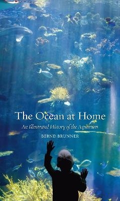 The Ocean at Home - Bernd Brunner