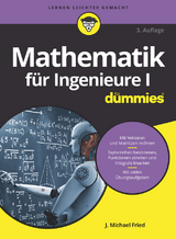 Mathematik für Ingenieure I für Dummies - J. Michael Fried