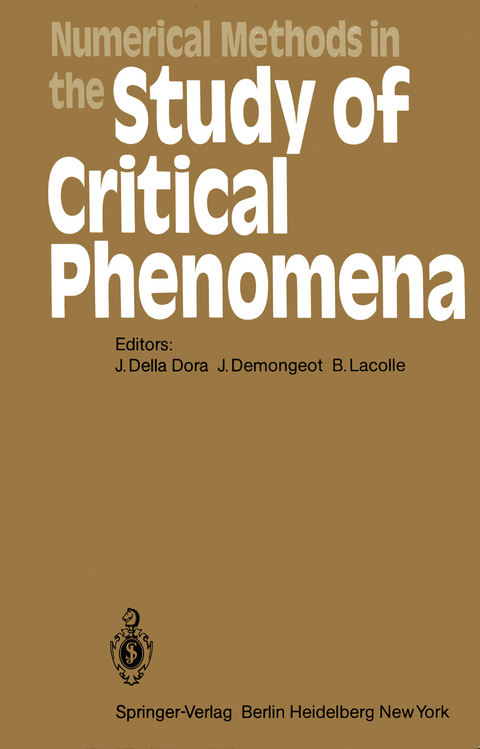 Numerical Methods in the Study of Critical Phenomena - 