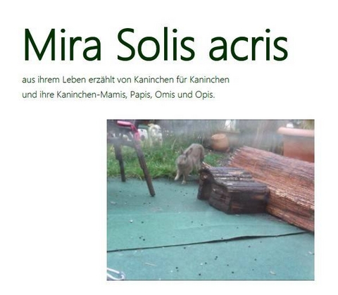 Mira Solis acris - Ulrike Ritter