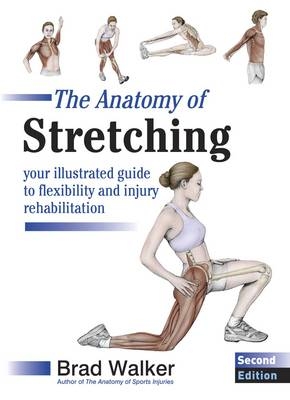 The Anatomy of Stretching - Brad Walker