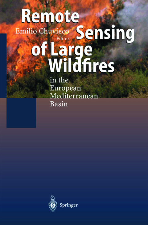 Remote Sensing of Large Wildfires - 