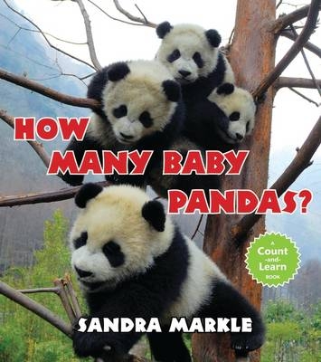 How Many Baby Pandas? - Sandra Markle