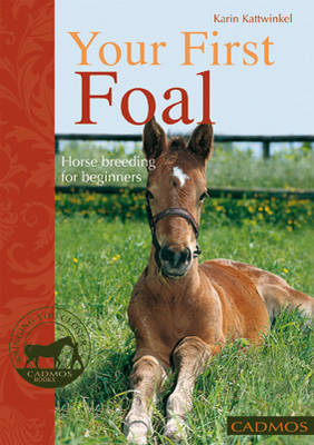 Your First Foal - Karin Kattwinkel