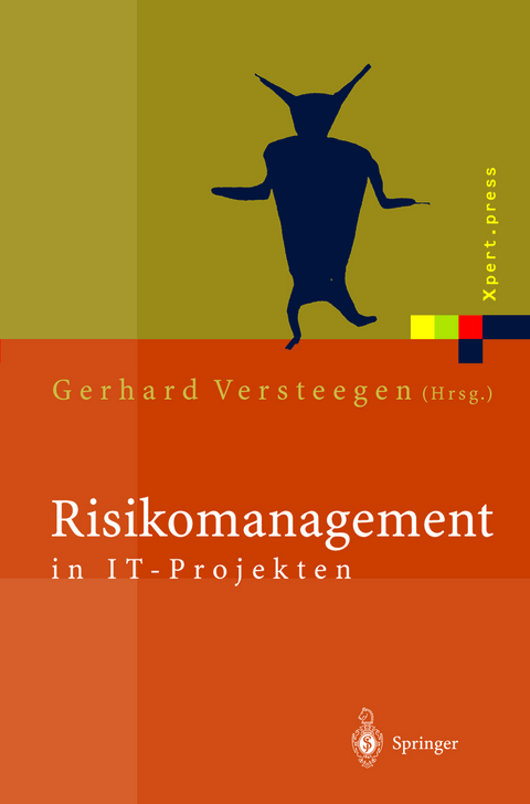 Risikomanagement in IT-Projekten - 