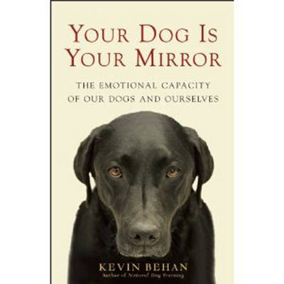 Your Dog is Your Mirror - Kevin Behan