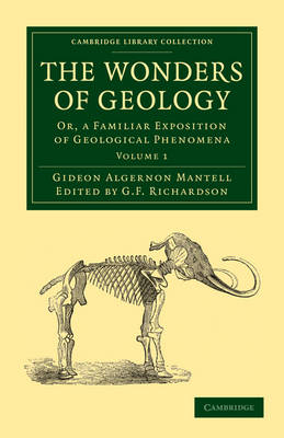 The Wonders of Geology - Gideon Algernon Mantell