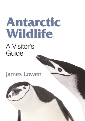 Antarctic Wildlife – A Visitor`s Guide - James Lowen