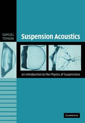 Suspension Acoustics - Samuel Temkin
