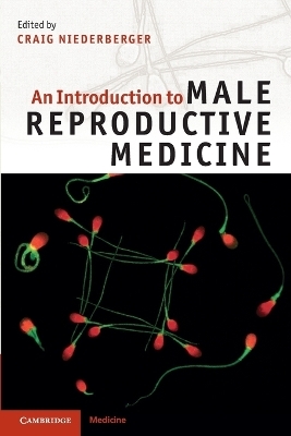 An Introduction to Male Reproductive Medicine - 