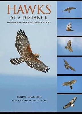 Hawks at a Distance - Jerry Liguori