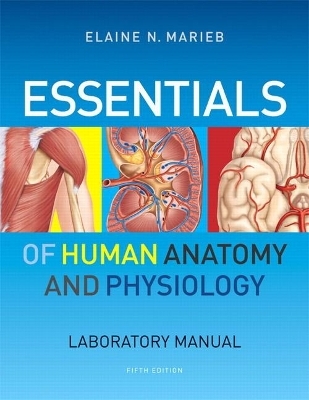 Essentials of Human Anatomy & Physiology Laboratory Manual - Elaine Marieb