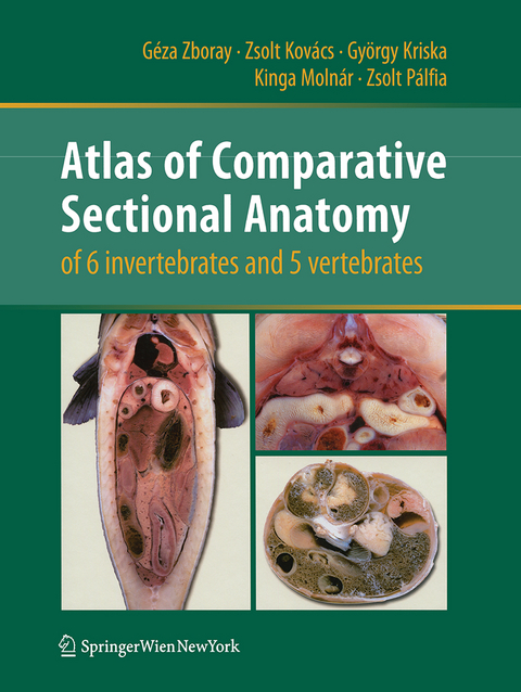 Atlas of Comparative Sectional Anatomy of 6 invertebrates and 5 vertebrates - Géza Zboray, Zsolt Kovács, György Kriska, Kinga Molnár, Zsolt Pálfia