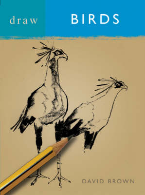 Draw Birds - David Brown