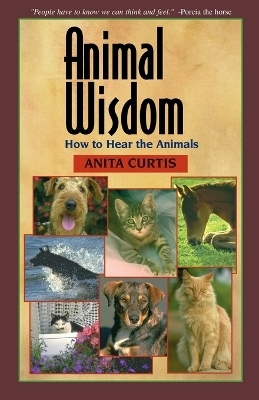 Animal Wisdom - Anita Curtis