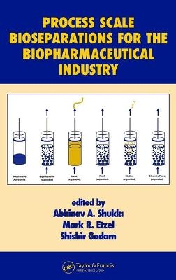 Process Scale Bioseparations for the Biopharmaceutical Industry - 