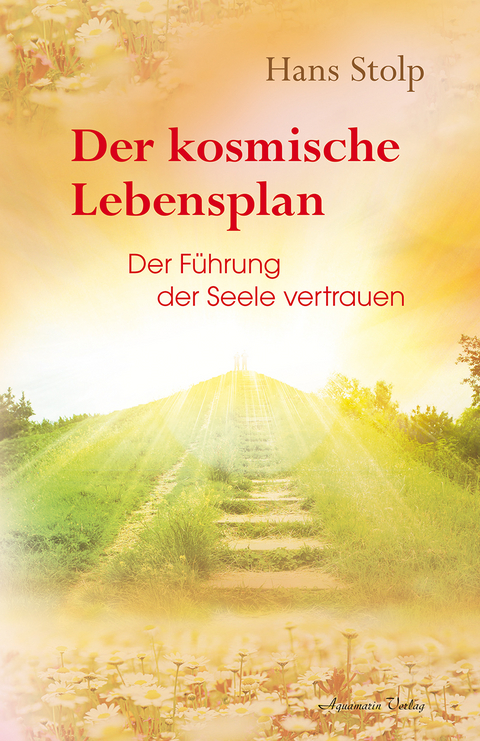 Der kosmische Lebensplan - Hans Stolp