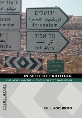 In Spite of Partition - Gil Z. Hochberg