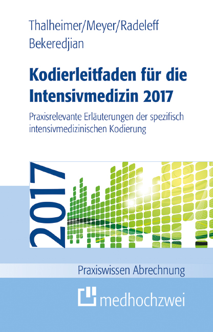 Kodierleitfaden für die Intensivmedizin 2017 - Raffi Bekeredjian, F. Joachim Meyer, Jannis Radeleff, Markus Thalheimer