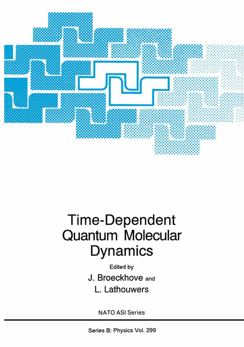Time-Dependent Quantum Molecular Dynamics - 