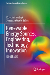 Renewable Energy Sources: Engineering, Technology, Innovation - 