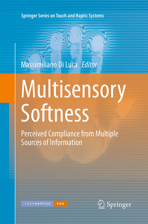 Multisensory Softness - 
