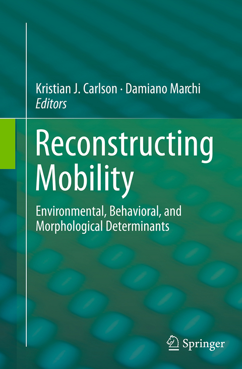 Reconstructing Mobility - 