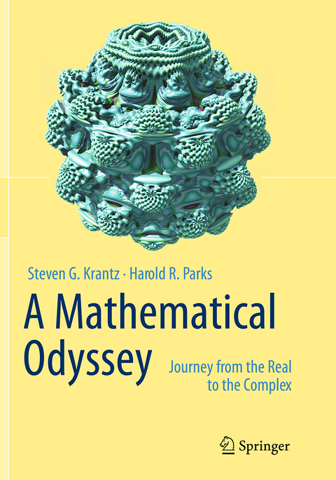 A Mathematical Odyssey - Steven G. Krantz, Harold R. Parks