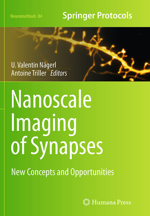 Nanoscale Imaging of Synapses - 