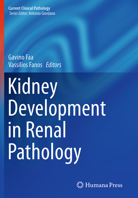 Kidney Development in Renal Pathology - 